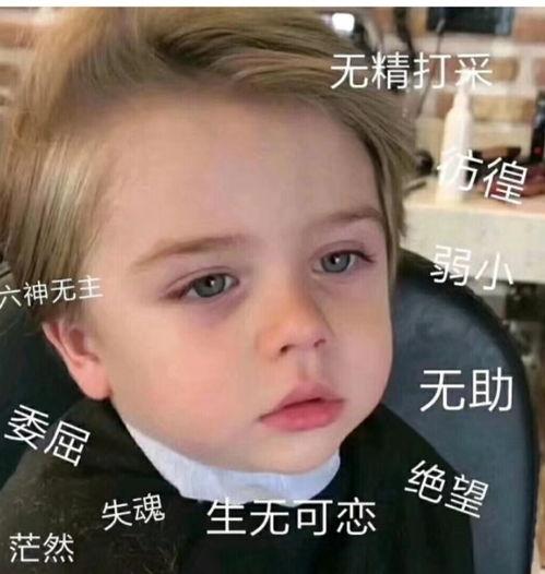 微信表情包吃瓜啥意思,揭秘微信表情包“吃瓜”背后的趣味与内涵