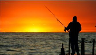 娱乐吃瓜钓鱼视频下载,一键下载收藏攻略