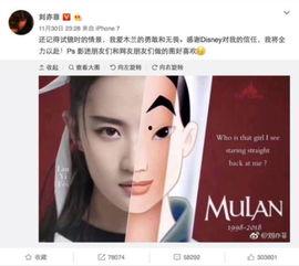 娱乐吃瓜解说大全最新版,盘点年度最热话题与幕后真相