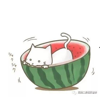 娱乐吃瓜酱头像图片