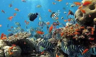 一线吃瓜娱乐圈by海底